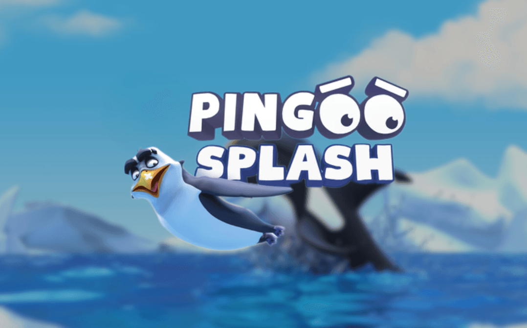 Pingoo Splash